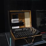 Семена конопли для рыбалки: свойства, выбор и где купить