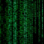 Покупка семян конопли в интернет магазине: преимущества и разнообразие сортов