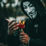 Преимущества и свойства семян конопли при покупке онлайн